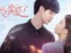 Download Drama China I Fell in Love By Accident Sub Indo