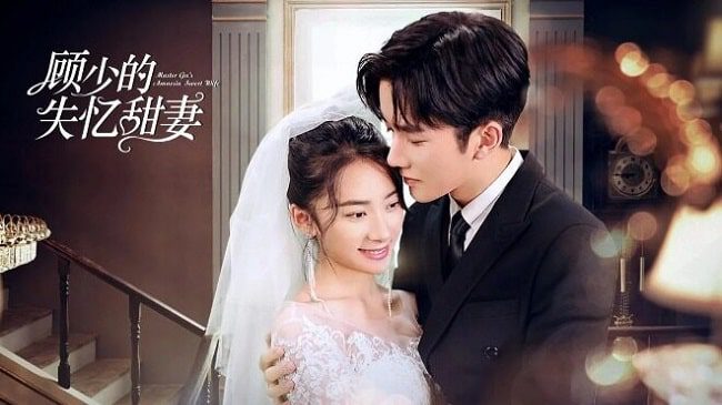 Drama China Master Gu’s Amnesia Sweet Wife Subtitle Indonesia