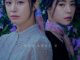 Download Drama Korea Lies Hidden in My Garden Subtitle Indonesia