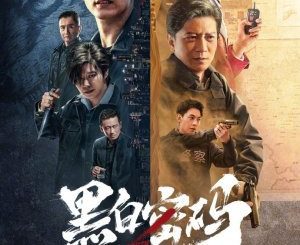 Download Drama China Chase the Truth Subtitle Indonesia